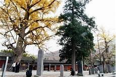 少林寺景区介绍